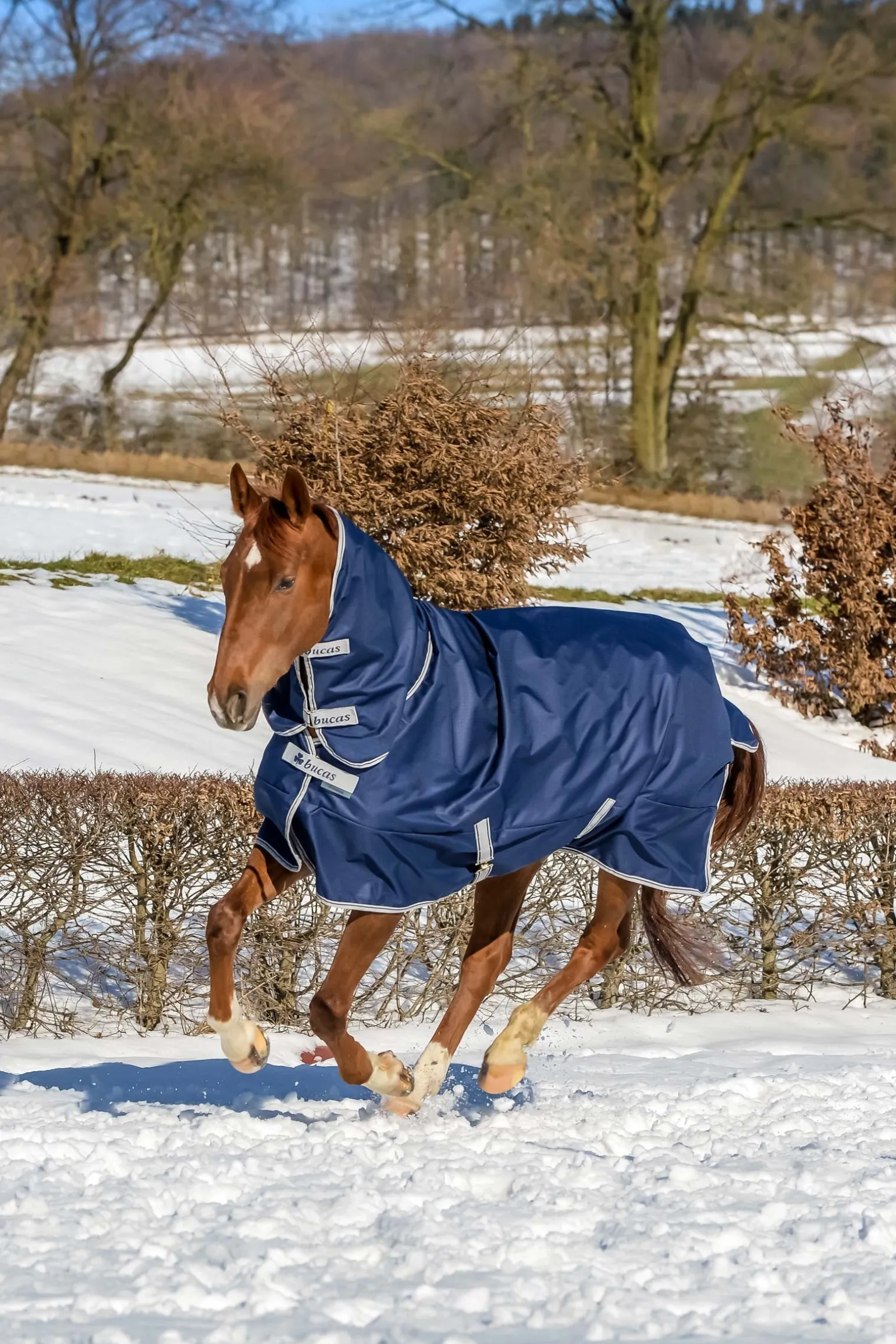 Freedom Weidedecke mit festem Halsteil (150g / 150g)