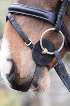 Gebissscheiben aus Silikon