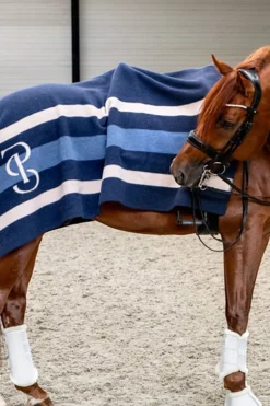 gestreifte Wolldecke