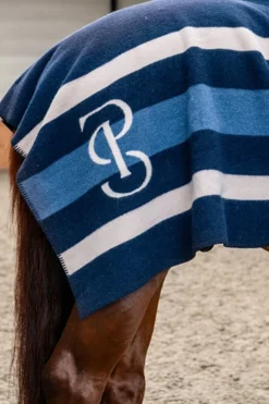 gestreifte Wolldecke