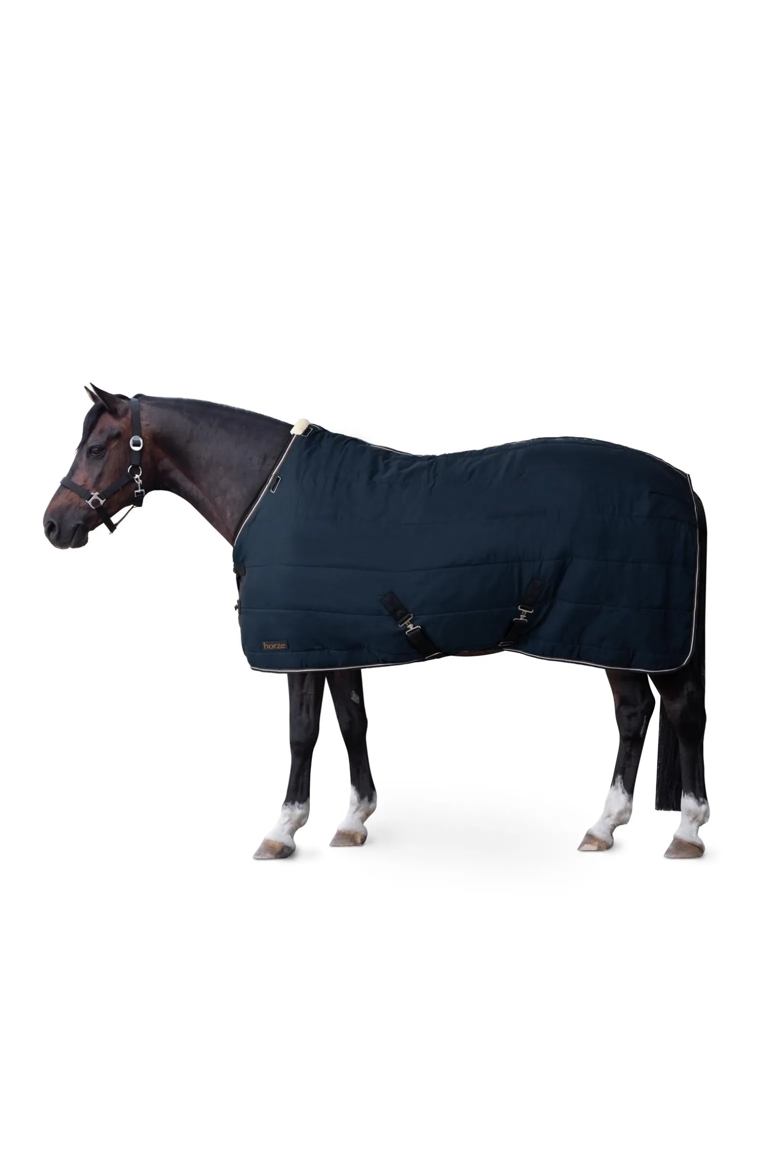 Glasgow Ponys Stalldecke