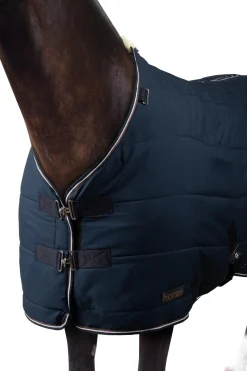 Glasgow Ponys Stalldecke