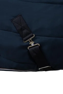 Glasgow Ponys Stalldecke