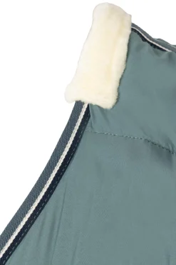 Glasgow Stalldecke / Unterdecke, 200g