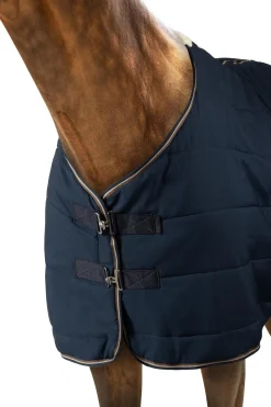 Glasgow Stalldecke / Unterdecke, 200g