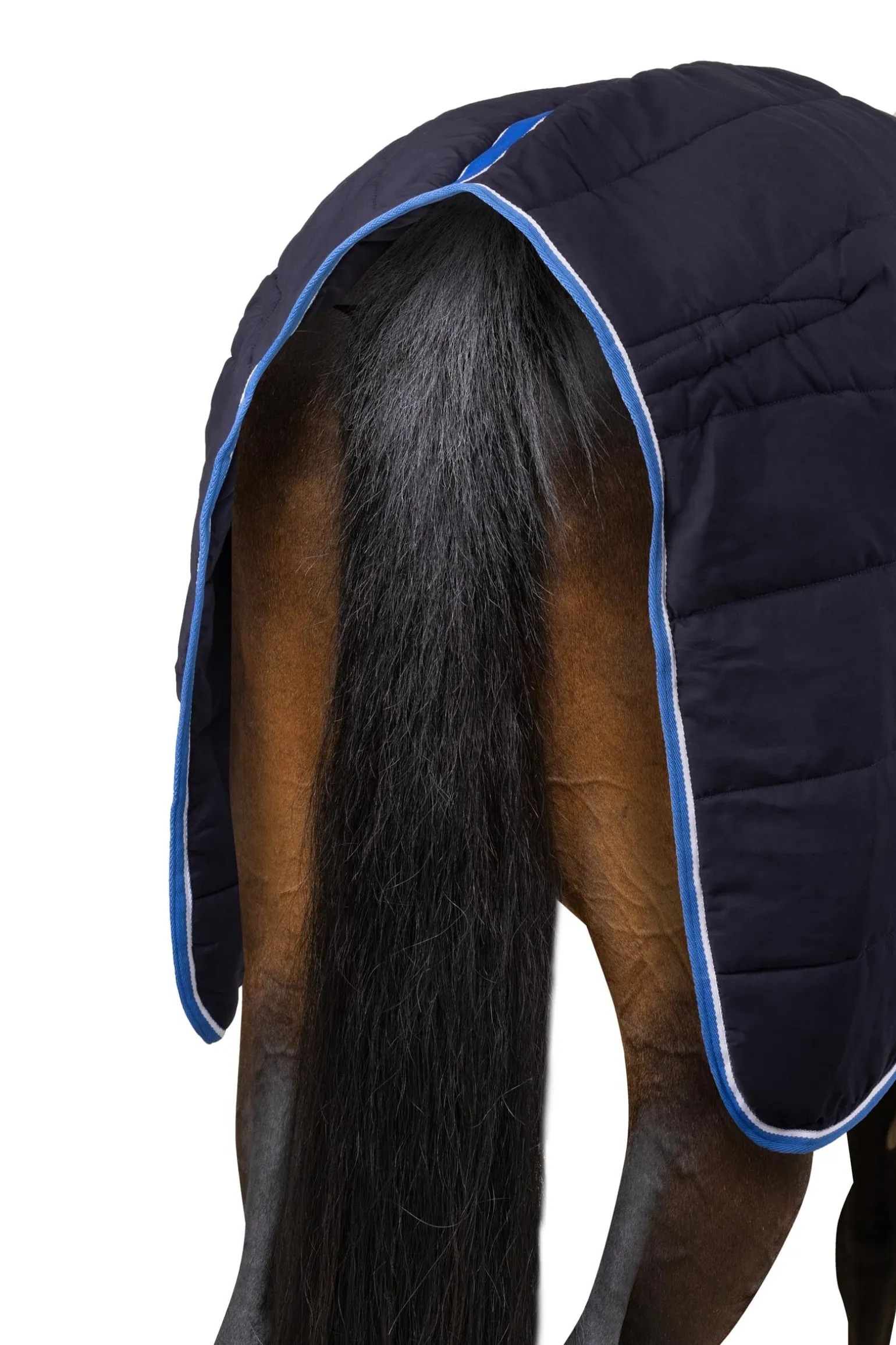 Glasgow Stalldecke / Unterdecke, 200g