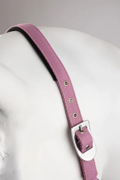 Graffiti Pony Halfter & Führstrick Set