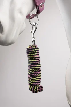 Graffiti Pony Halfter & Führstrick Set