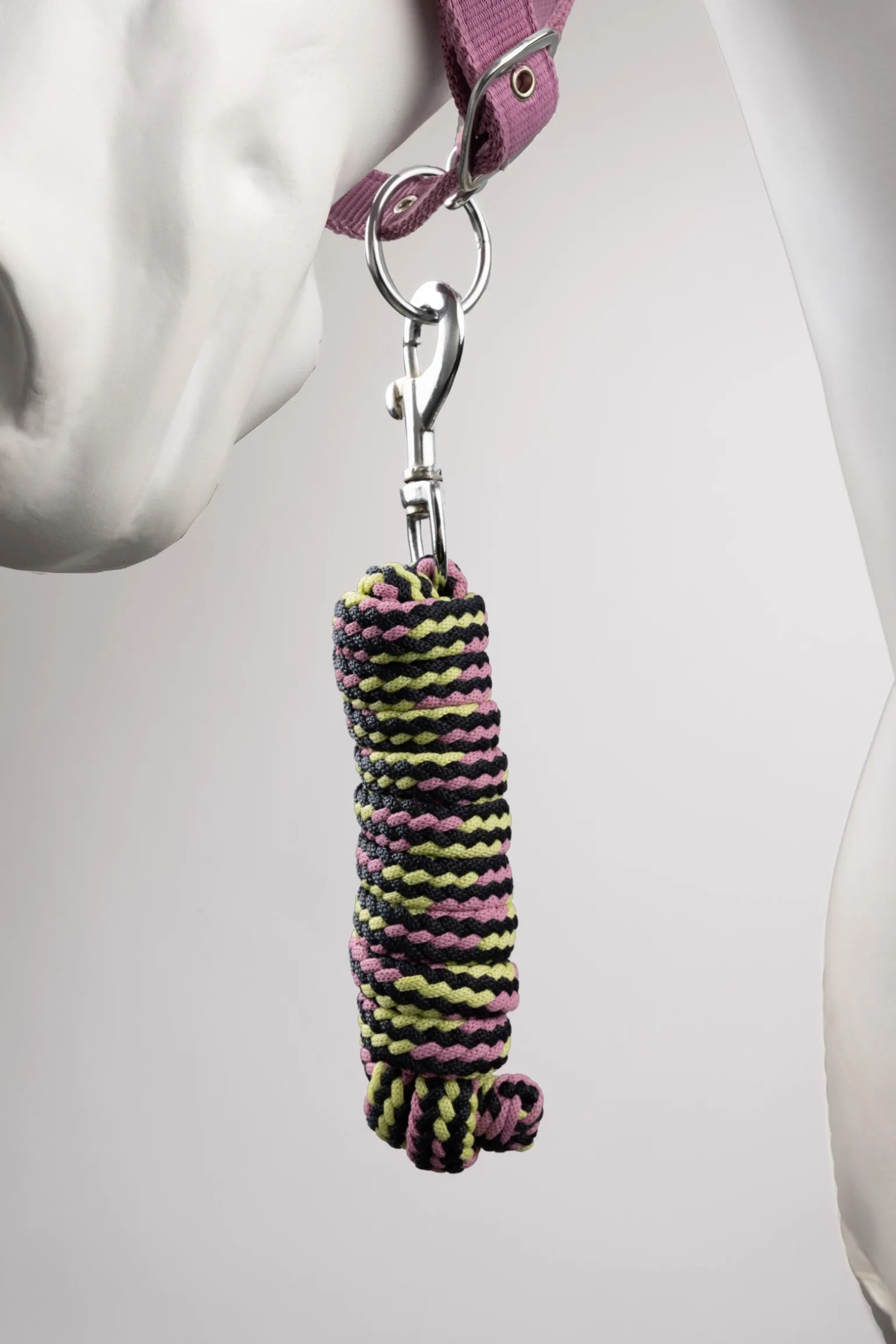 Graffiti Pony Halfter & Führstrick Set