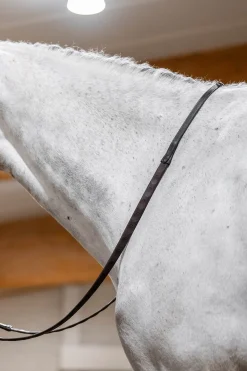 Gummizügel mit Daumengriff