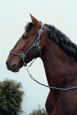 Halfter & Führstrick Set mit Metallic Streifen