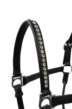 Halfter mit Kristallen