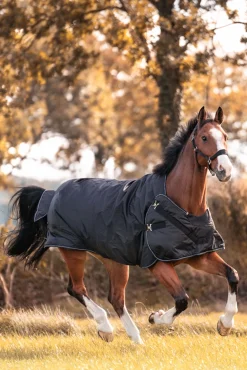 Halifax 2in1 Weidedecke und Führanlagendecke 50g