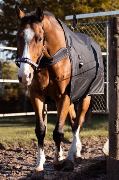 Halifax 2in1 Weidedecke und Führanlagendecke 50g