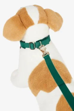 Halsband und Leine für Spielzeughund