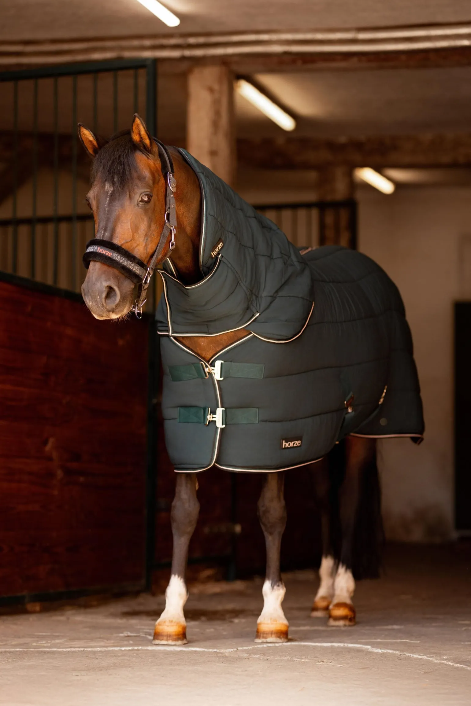 Halsteil für Glasgow Stalldecke für Ponys