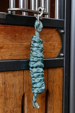 Harlequin Führstrick