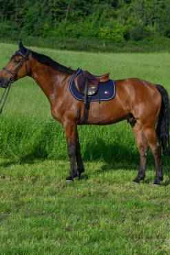 Harvard Springschabracke