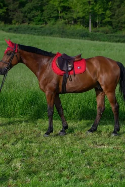 Harvard Springschabracke