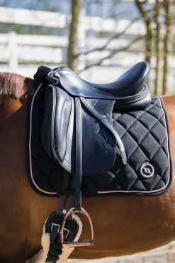 Haze Kollektion Dressur Schabracke