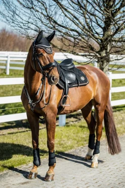 Haze Kollektion Spring Schabracke