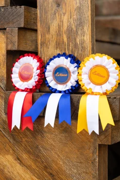 Hobby Horse Schleifen-Set