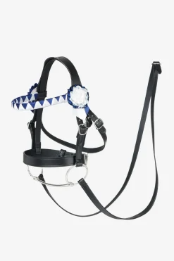 Hobby Horse Showing Bridle