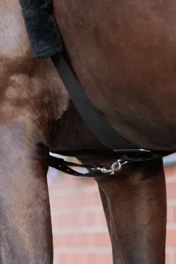 Horselight Bauchgurt mit rotem Rücklicht