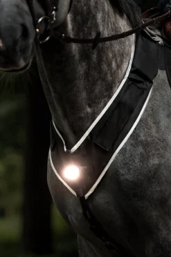 Horselight Vorderzeug mit weißem Frontlicht