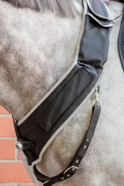 Horselight Vorderzeug mit weißem Frontlicht