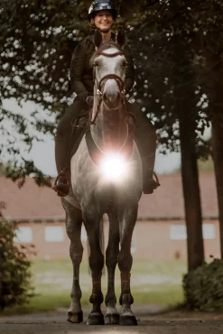 Horselight Vorderzeug- und Sattelleuchte sowie Beinmanschetten, Set 2