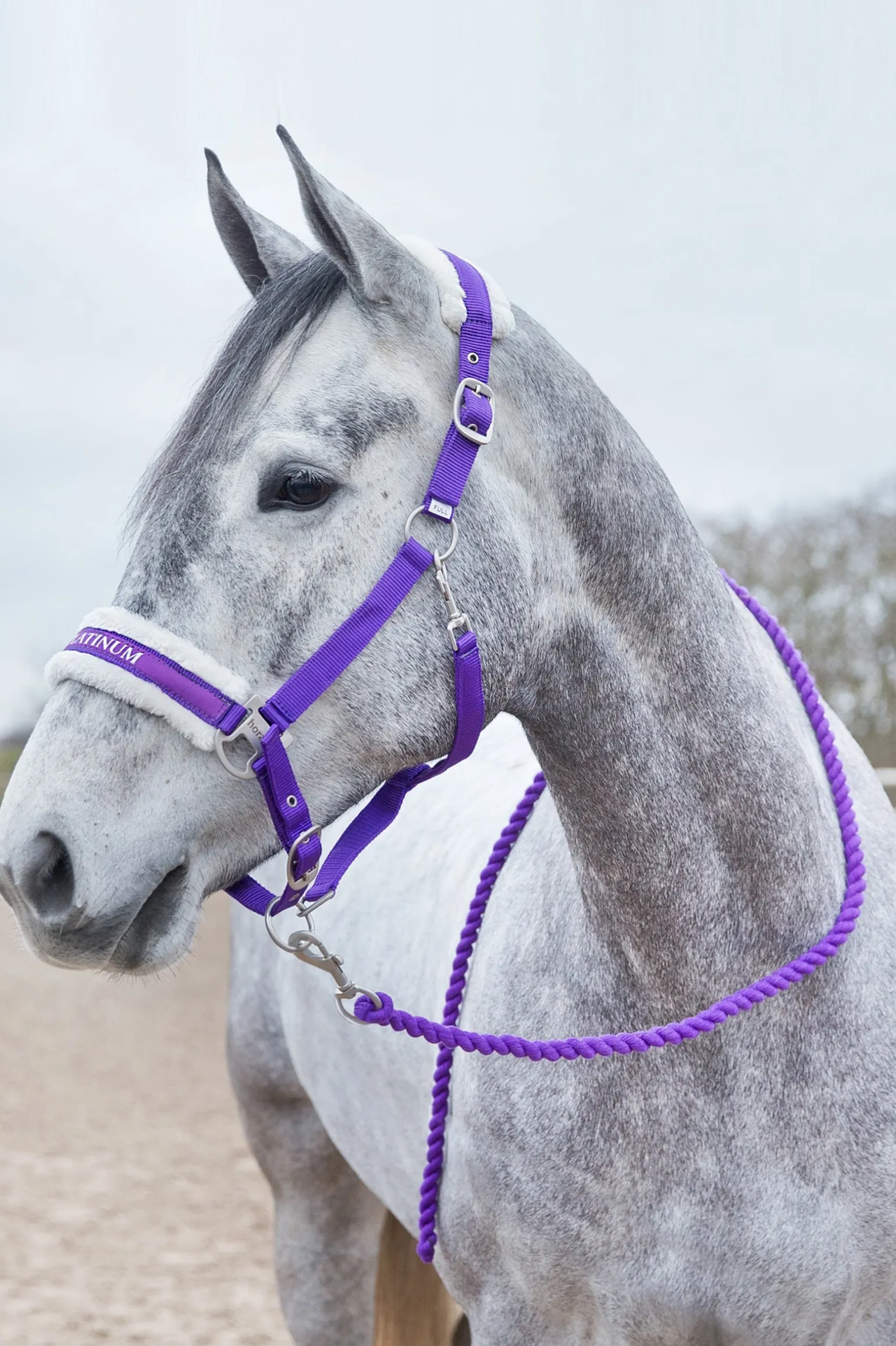 Howard weicher Führstrick