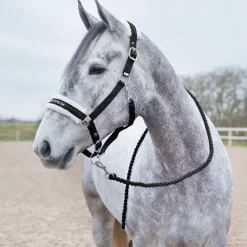 Howard weicher Führstrick