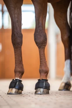 Hufglocken mit Verdrehsicherung