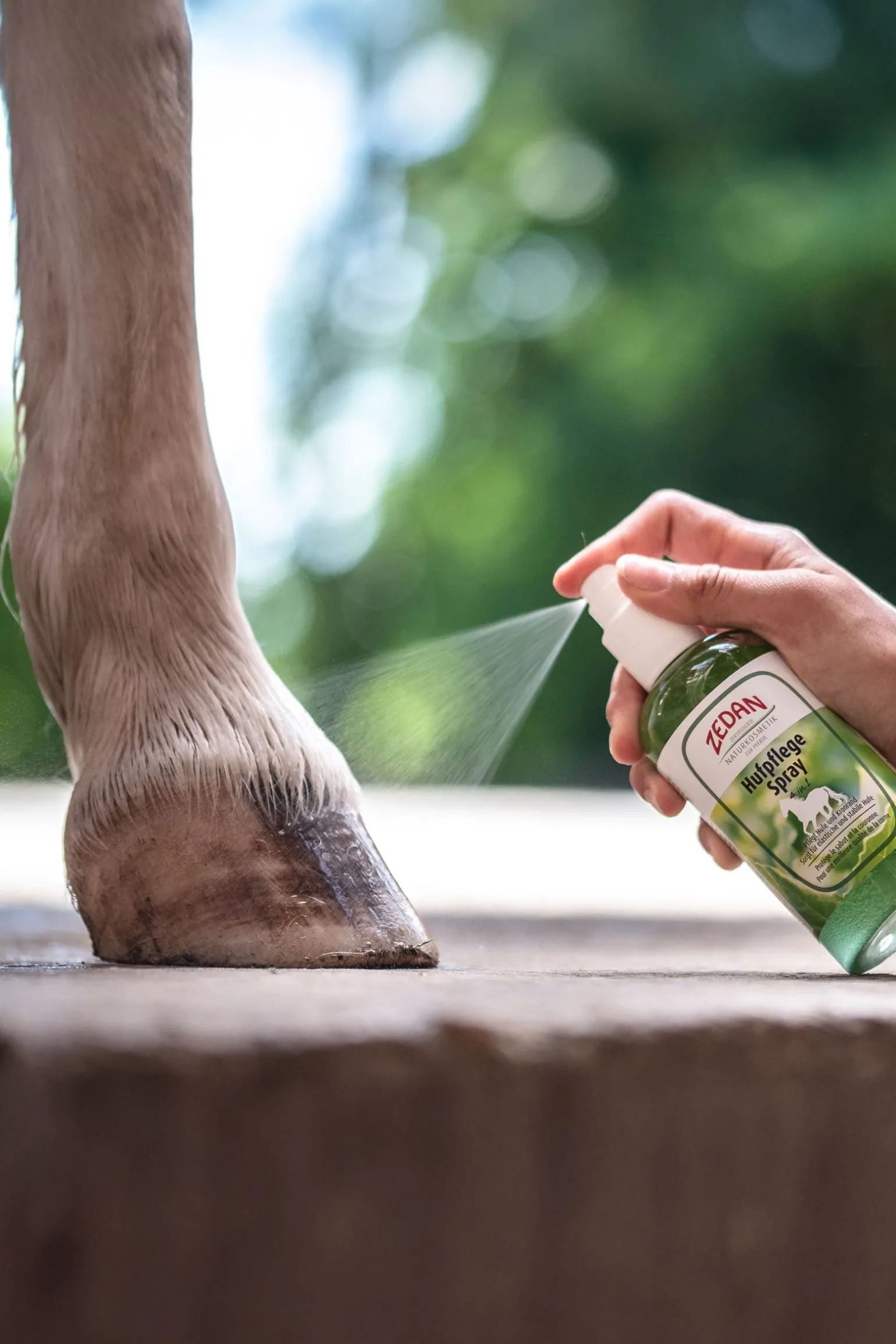 Hufpflege Spray 4 in 1, 275ml