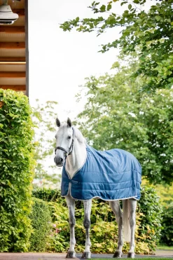 Ionic Therapy Unterdecke 50g