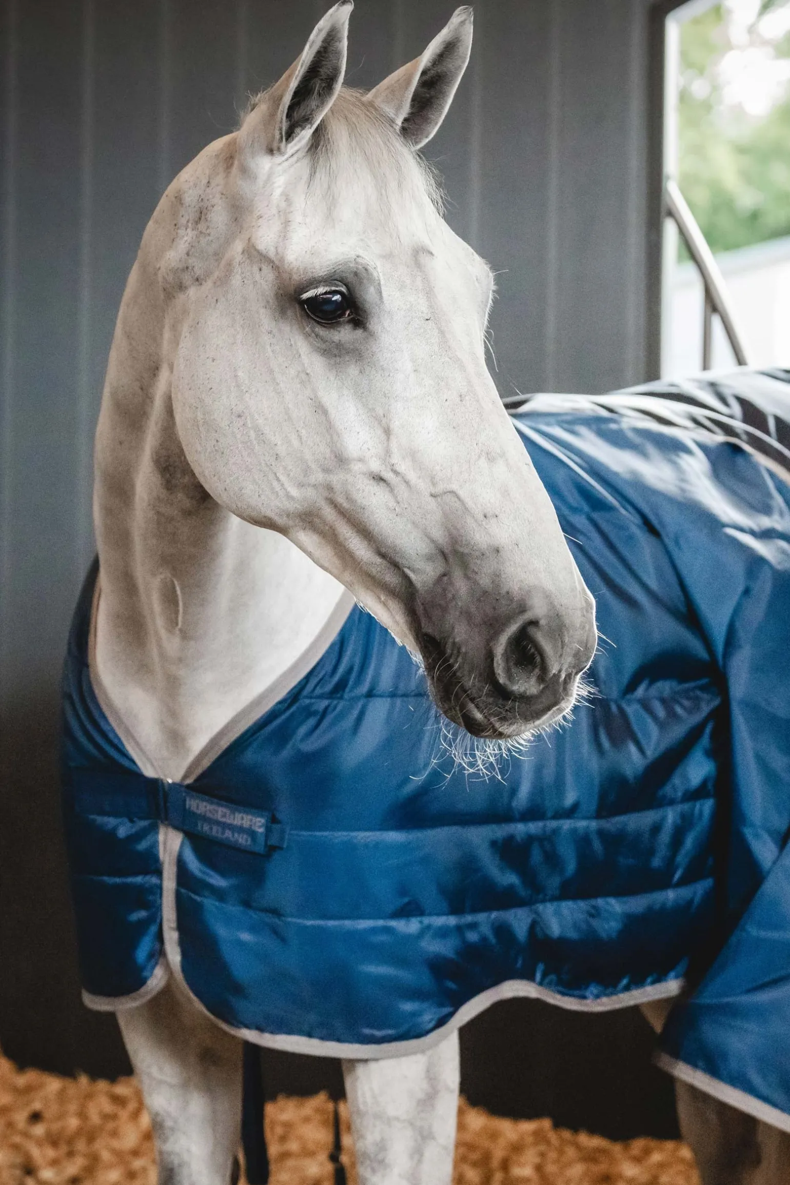 Ionic Therapy Unterdecke 50g