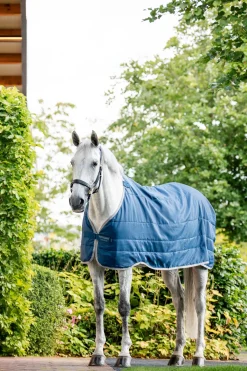 Ionic Therapy Unterdecke 200 g