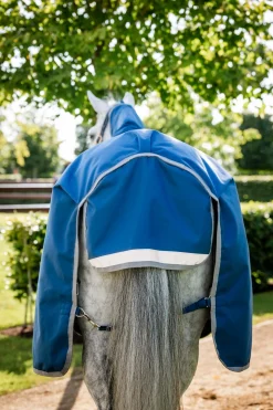 Ionic Therapy Weidedecke, 100g