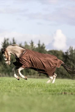 Irish Turnout 50 g Rug & Neck