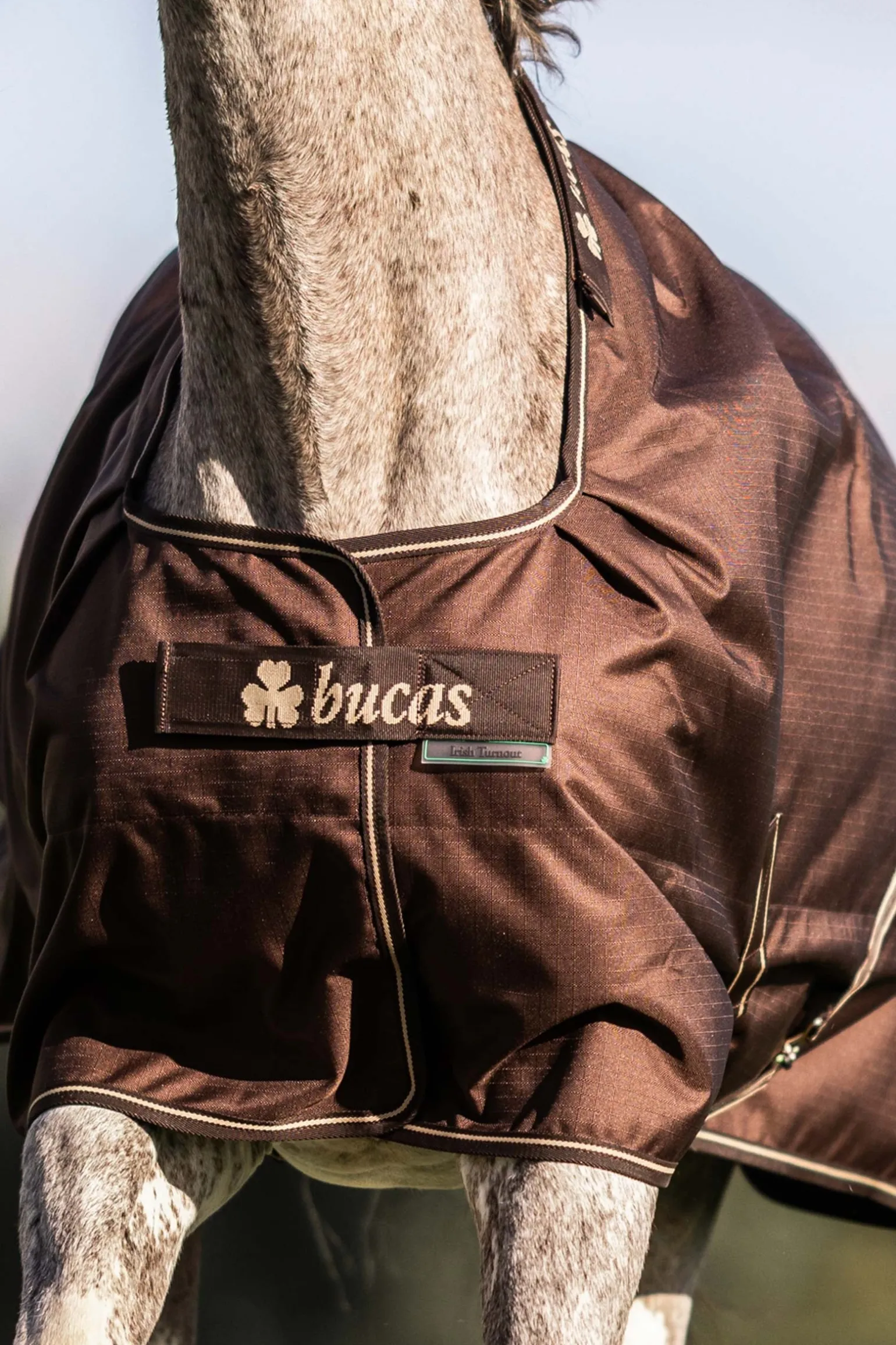 Irish Turnout 50 g Rug & Neck