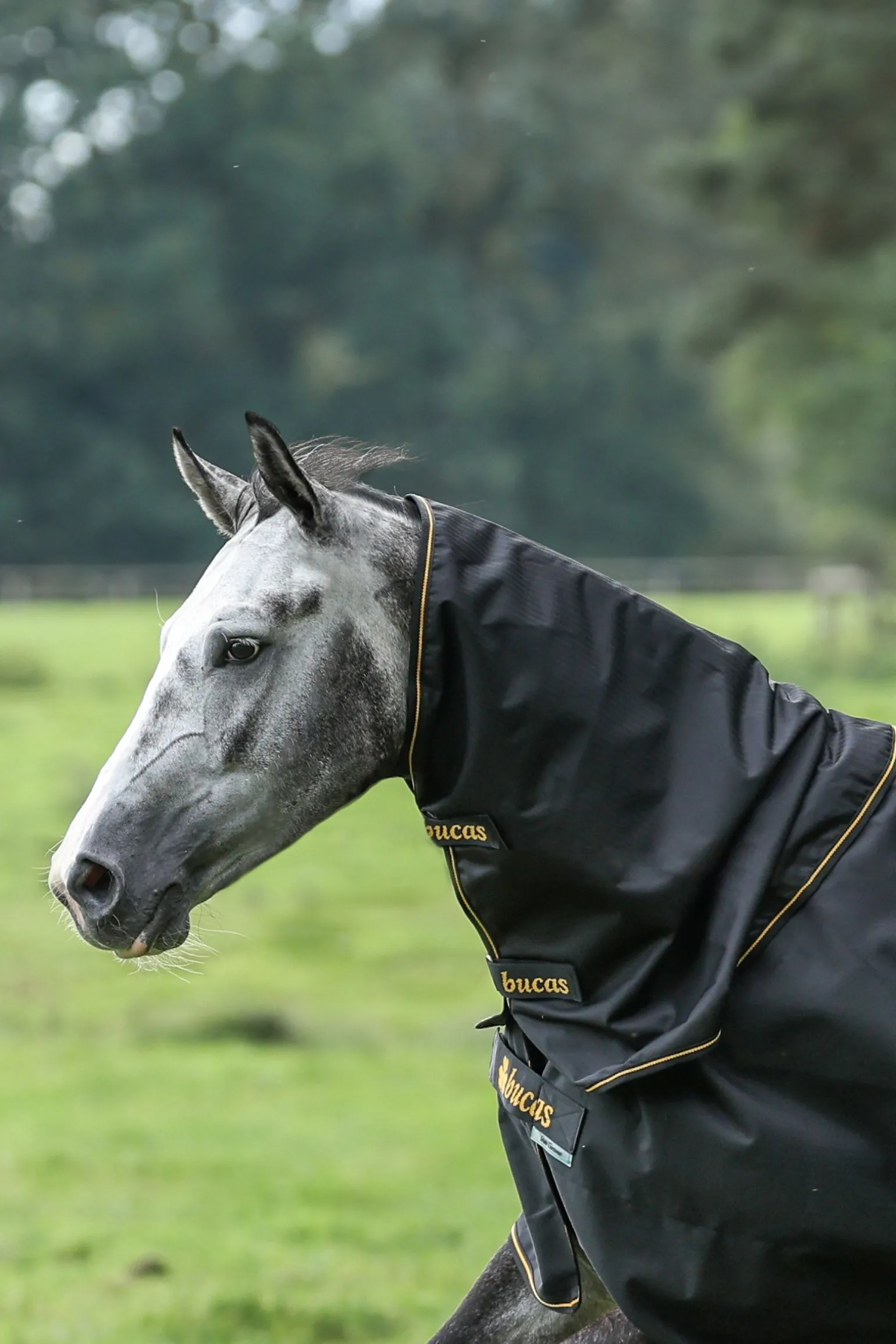 Irish Turnout Halsteil, 0g