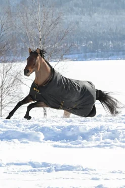 Irish Weidedecke, 300g