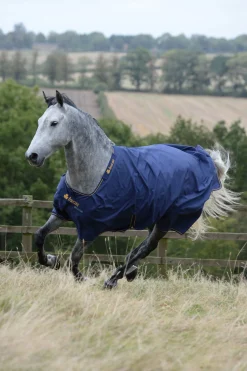 Irish Weidedecke, 50g