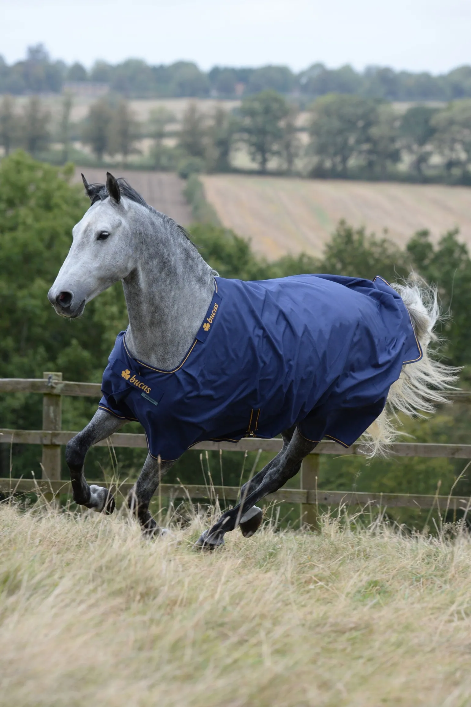 Irish Weidedecke, 150g