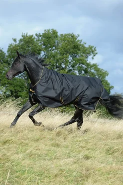 Irish Weidedecke mit hohem Hals, 50g