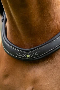 Jerome 2-Punkt Brustblatt