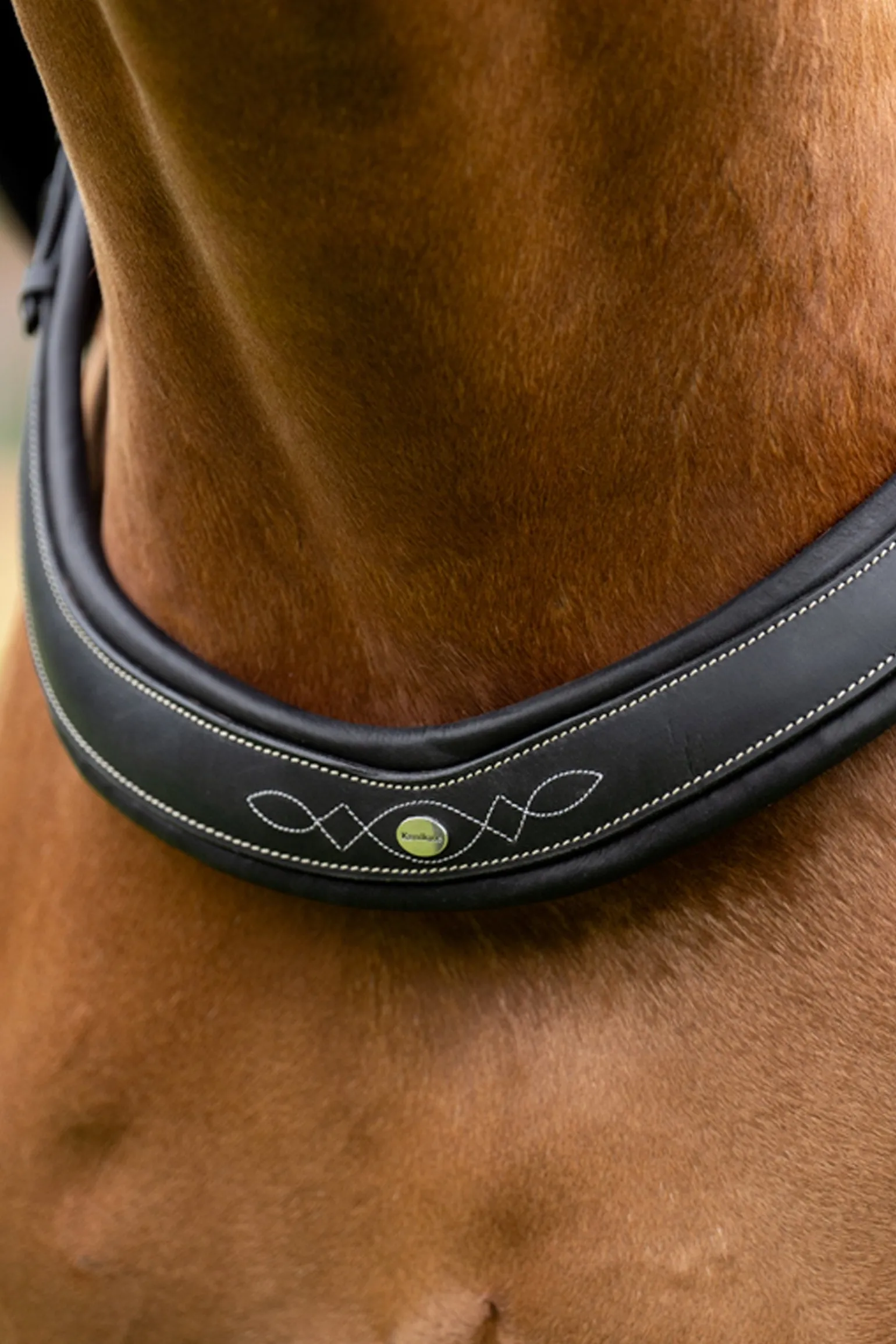 Jerome 2-Punkt Brustblatt