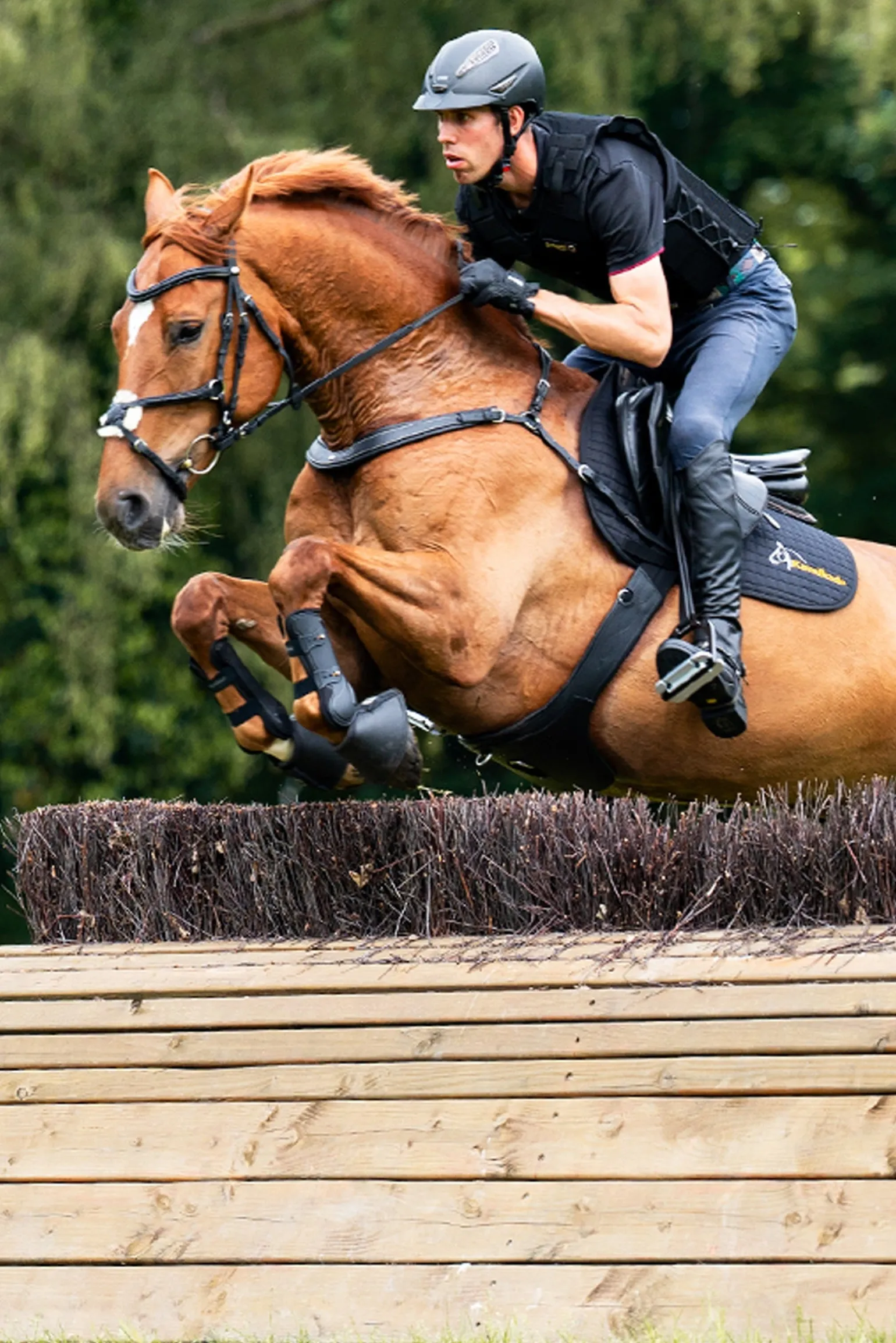 Jerome 2-Punkt Brustblatt