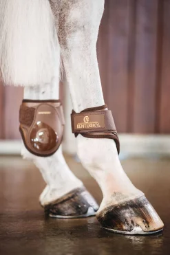 Jungpferde Streichkappe